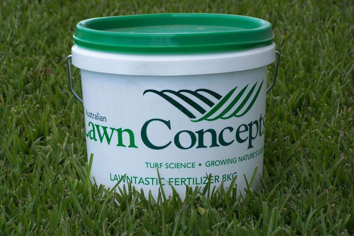 Turf Special Offer I Gold Coast I Australian Lawn Concepts