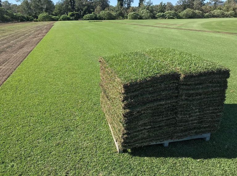 Zoysia Lawns by Australian Lawn Concepts ALC Turf Brisbane