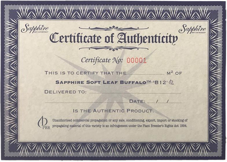 Certificate of Authenticity Sapphire Soft Leaf Buffalo s4