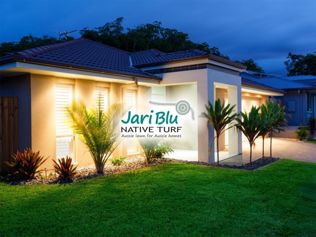 Jari Blu Native Turf House Night Logo2