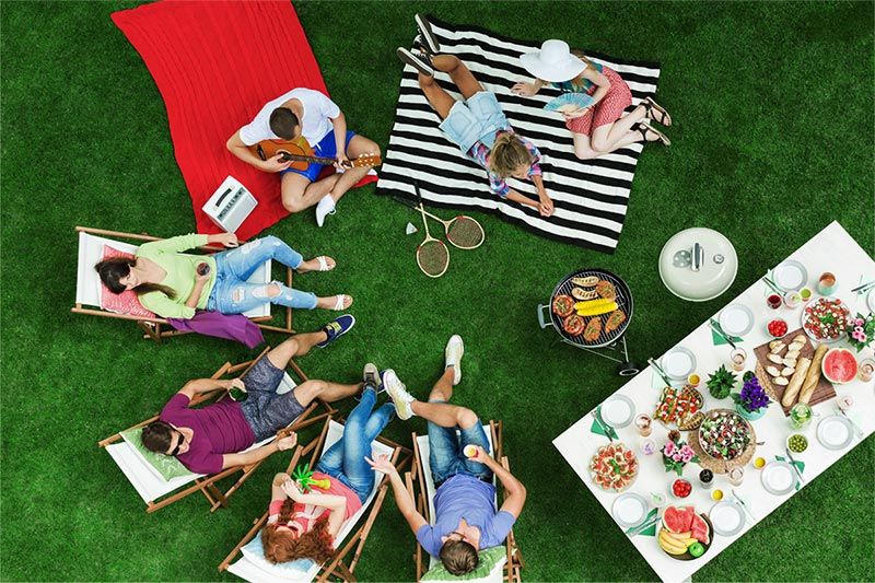 Jari Blue Native Turf Grass Lawn Australian Lawn Concepts e