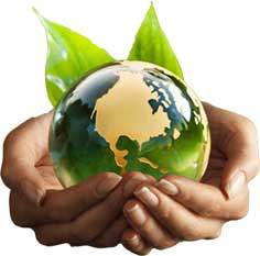 We-Focus-On-The-Environment-At-Australian-Lawn-Concepts-Turf-Farm-2