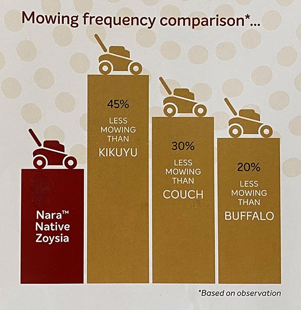 Nara-Native-Zoysia-Mowing-Frequency-Comparison-w