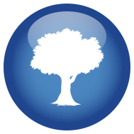 Empire Zoysia Shade Tolerance Icon