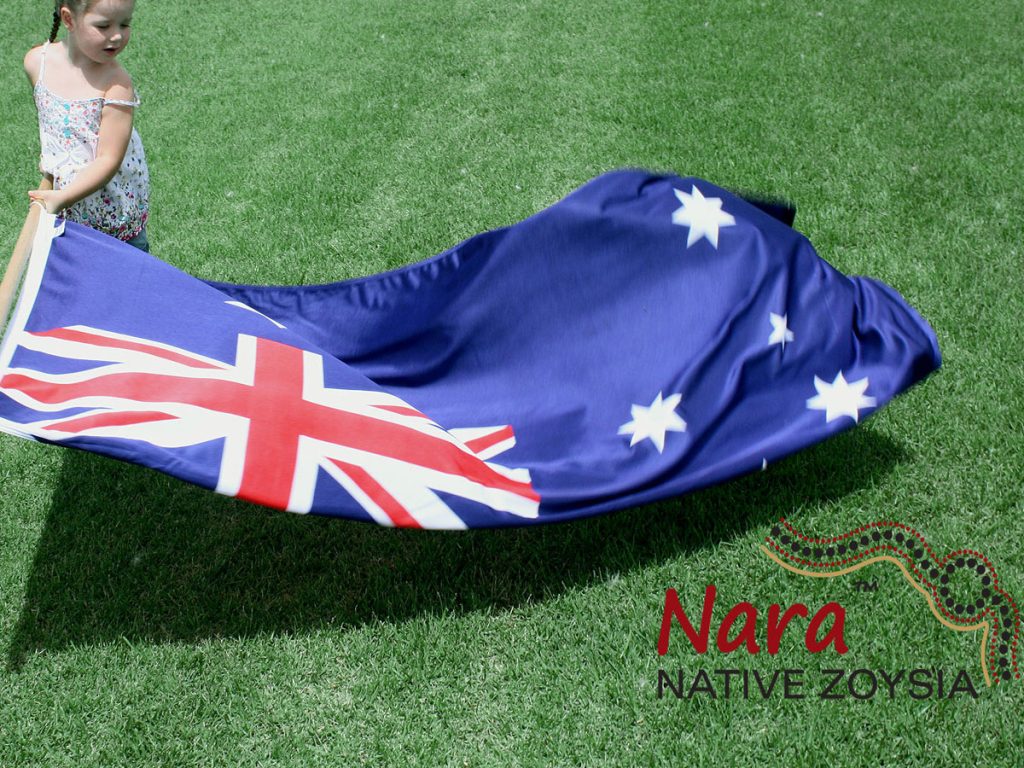 Nara-Native-Zoysia-Turf-w2