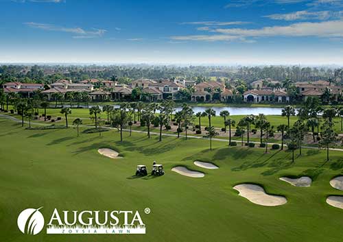 Augusta Zoysia Turf - Australian Lawn Concepts Turf