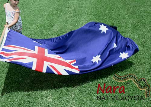 Nara Native Zoysia Turf - Australian Lawn Concepts Turf