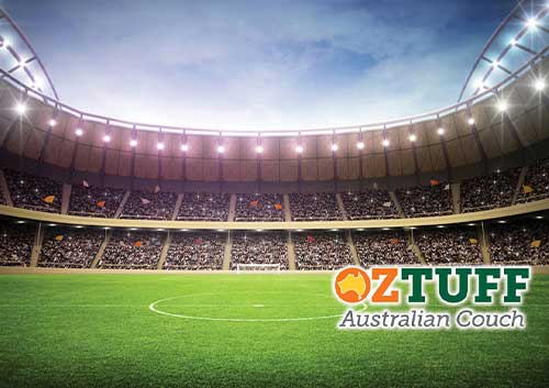 Oz Tuff Native Sports Turf - Australian lawn Concepts
