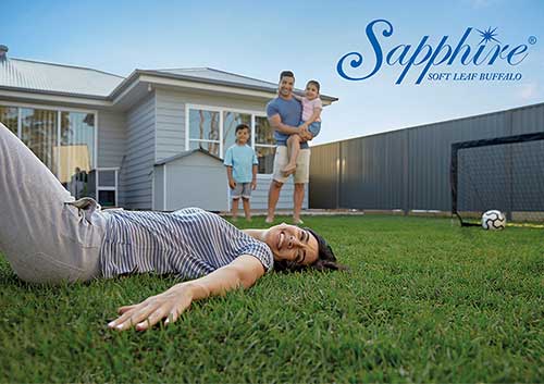 Sapphire Soft Leaf Buffalo Turf - Australian Lawn Concepts Turf