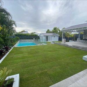 Augusta-Zoysia-Turf Grass Lawn-050221-w