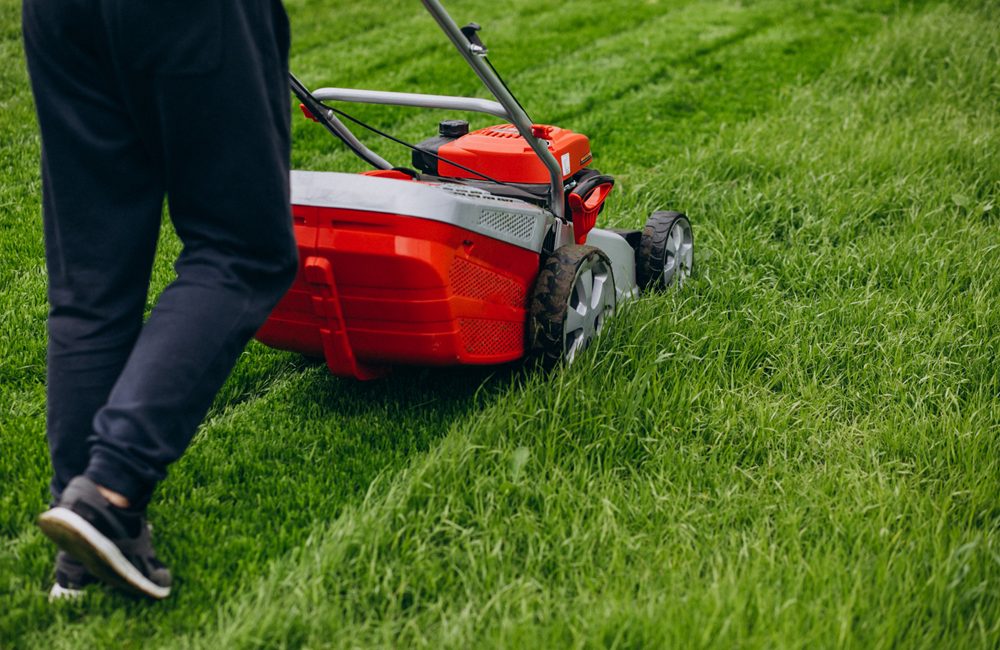 Turf Maintenance Tips for a Lush & Green Lawn | ALC Turf