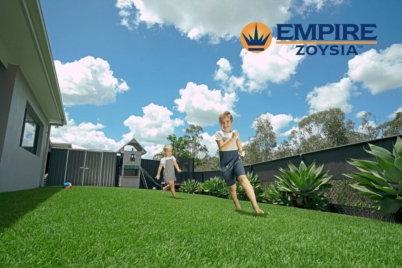 Empire Zoysia Grass